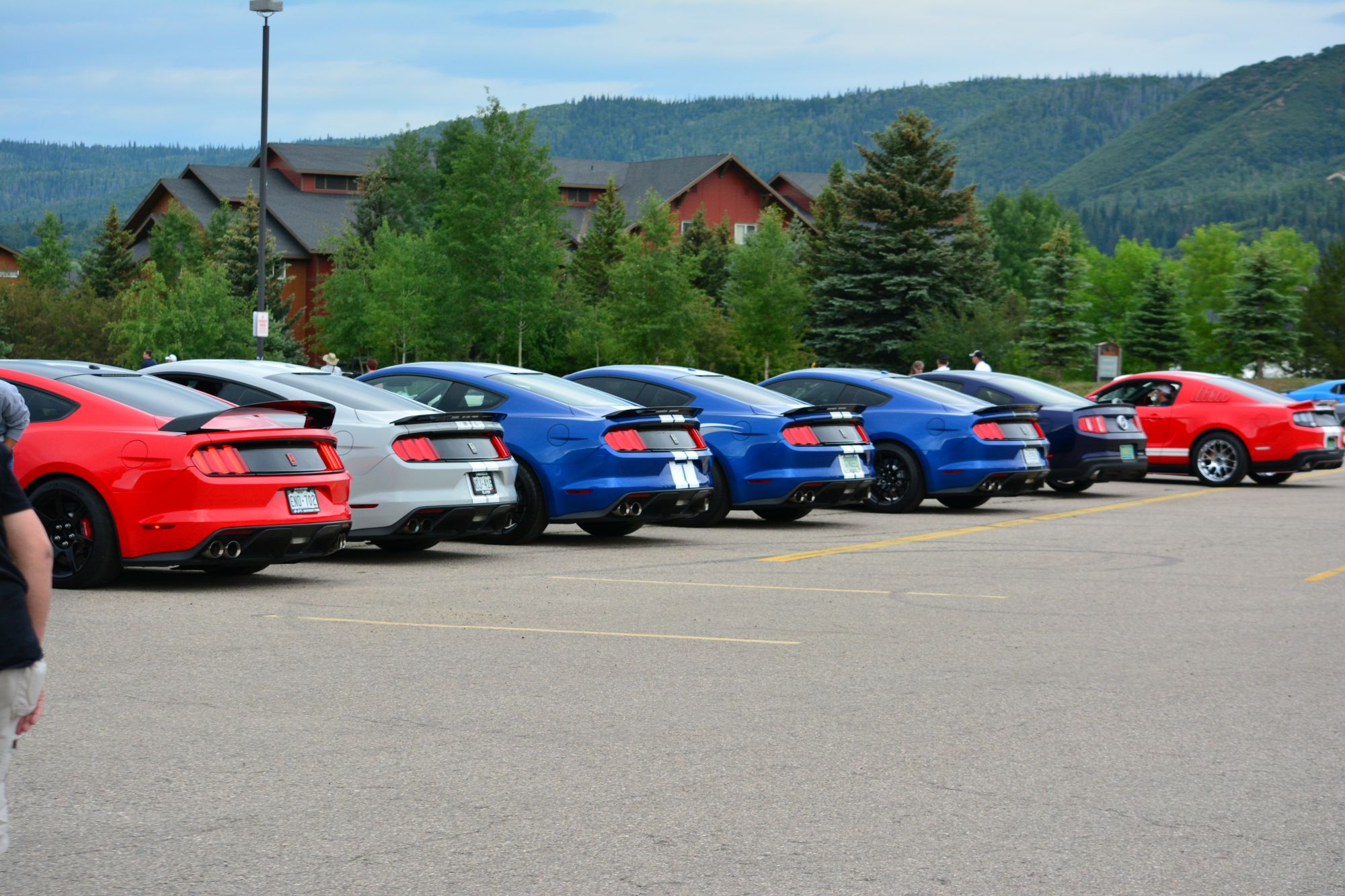 Rocky Mountain Mustang Roundup gallery