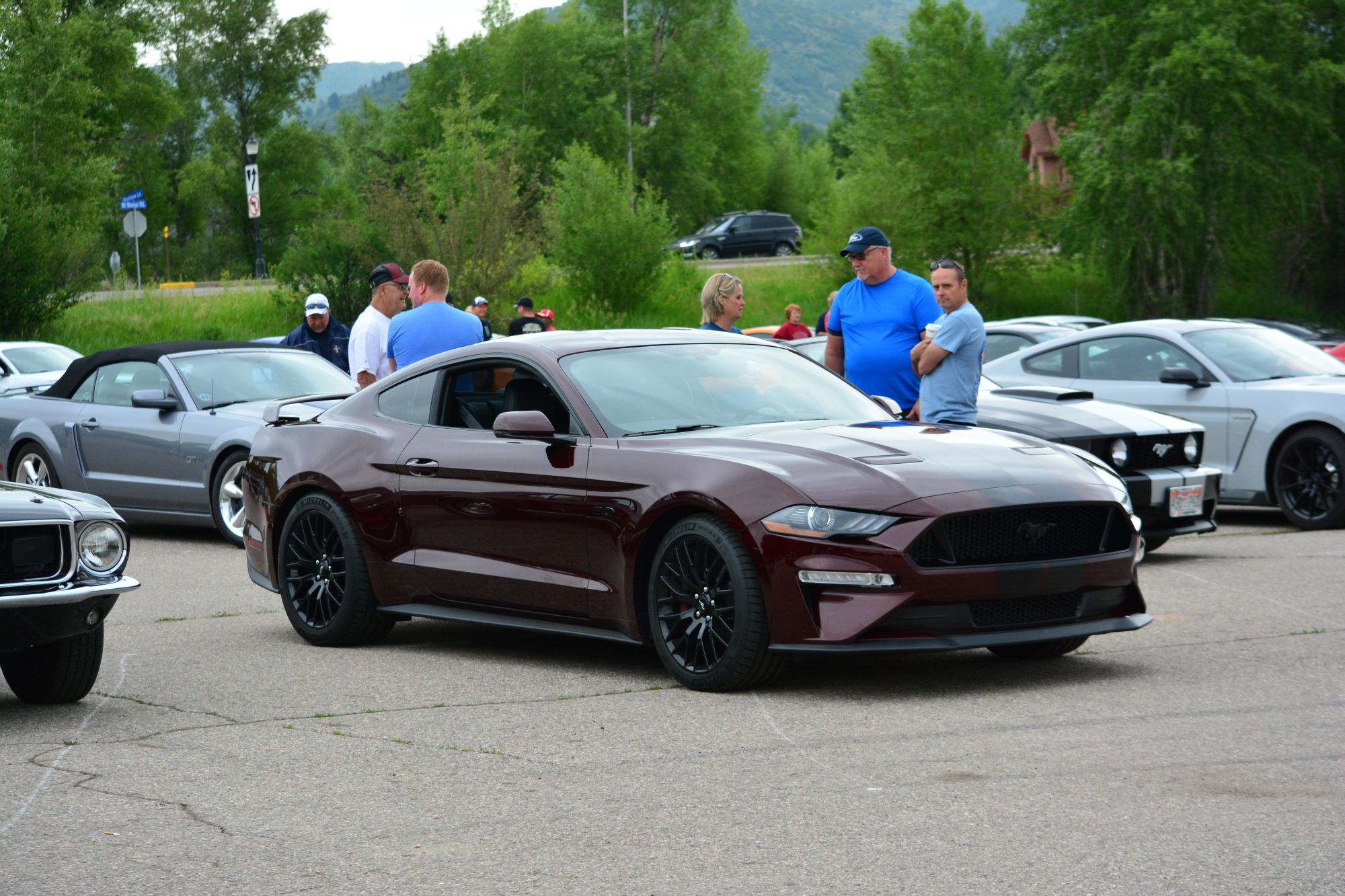 Rocky Mountain Mustang Roundup gallery