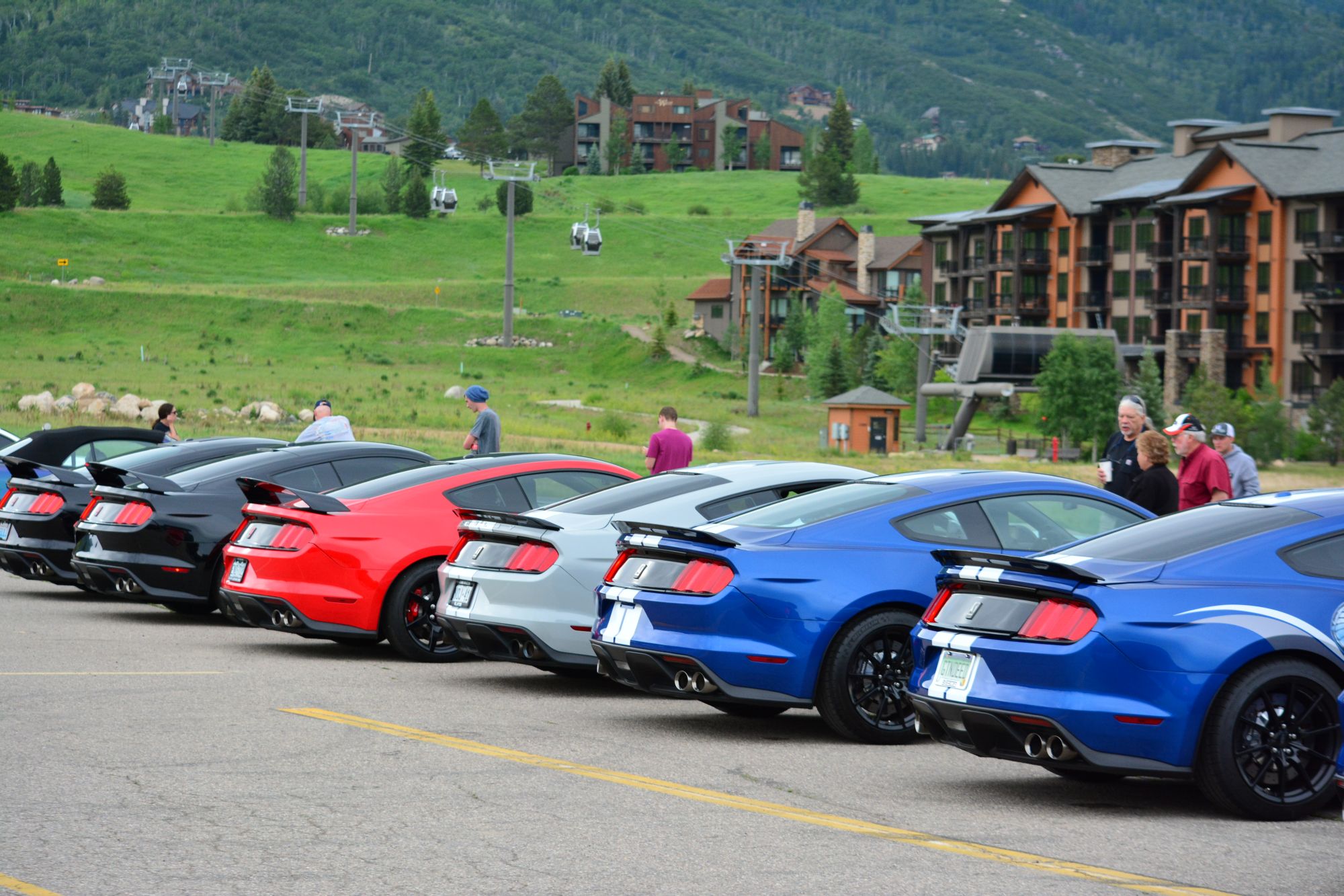 Rocky Mountain Mustang Roundup gallery