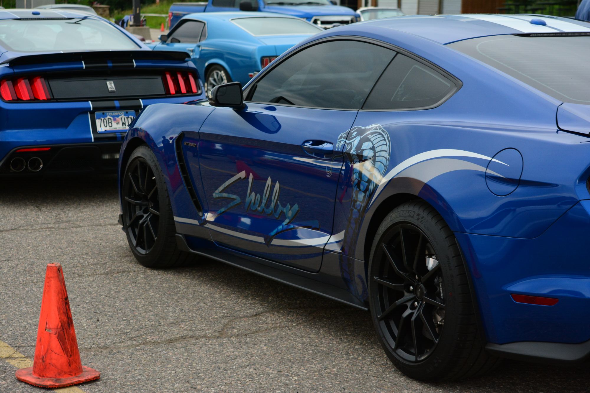 Rocky Mountain Mustang Roundup gallery